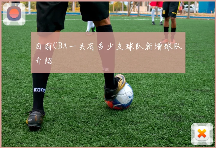 目前CBA一共有多少支球队新增球队介绍